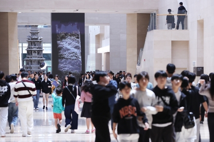 국립박물관 13곳 중 장애인 관람 전면 지원은 단 3곳