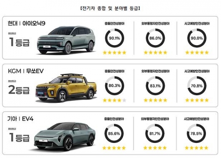 2025년 가장 안전한 차는 아이오닉9·팰리세이드·넥쏘·EV4