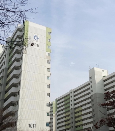 [단독] 재건축 앞둔 노후아파트, 왜 지금 대규모 공사 논란인가