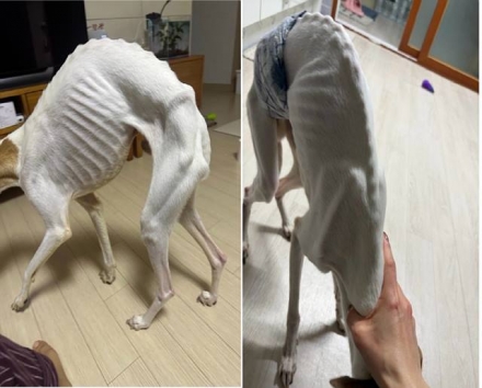 [단독] “주인 죽었다”는 부고장에 거짓말까지 …