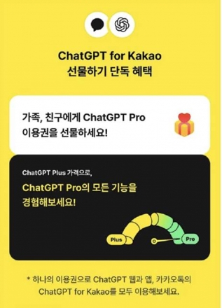 “팔았다가 접고, 바꿨다가 되돌리고” … 카카오 ‘번복 경영’이 부른 신뢰 부재 논란