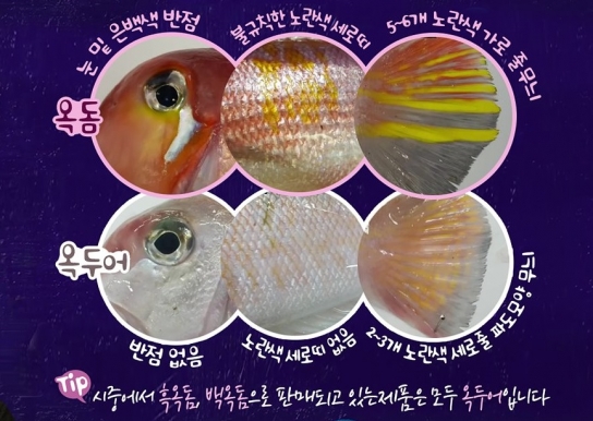 ʻ옥돔ʼ 사고 보니 값싼 ʻ옥두어ʼ?