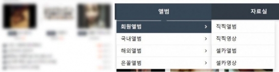 제2소라넷 음란사이트 버젓이 운영...수사 촉구 국민청원 등장