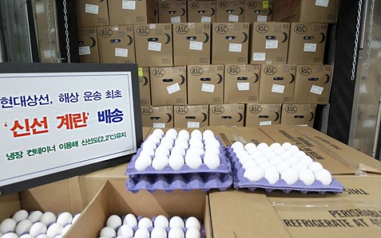 수입 계란 올 10억개(추정), ‘국내산 계란 생산기반 흔들리나’