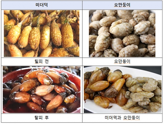 해물찜 속 미더덕인줄 알았는데 오만둥이였다고?