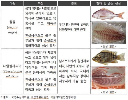 틸라피아를 도미로 둔갑시켜 판매한 업소 적발