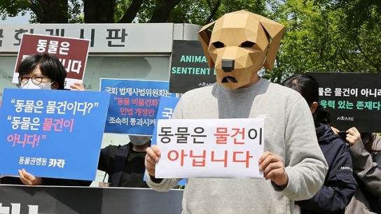 5개 동물보호단체 ‘동물의 비물건화’ 민법 개정안 조속 통과 촉구