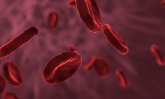 대웅제약, 입셀과 인체유래 세포 기반 ‘인공적혈구’ 공동 개발 착수