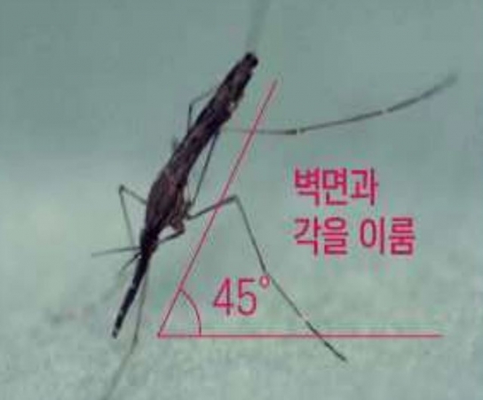 '말라리아 경보' 원충 감염 모기 밀도가 가장 높은 지역은 파주시