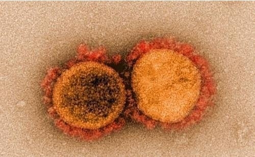 "코로나19, 안면마비와 연관…백신 미접종자 더 위험"