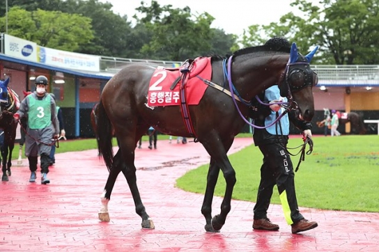 4일 렛츠런파크 서울…1등급 2300m 경주 주인공은?