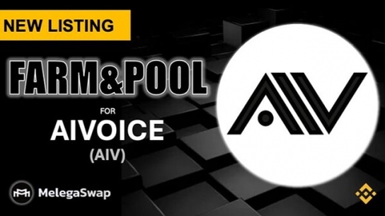 에이아이브이(AIV)재단 & MelegaSwap '전략적 파트너십' 체결