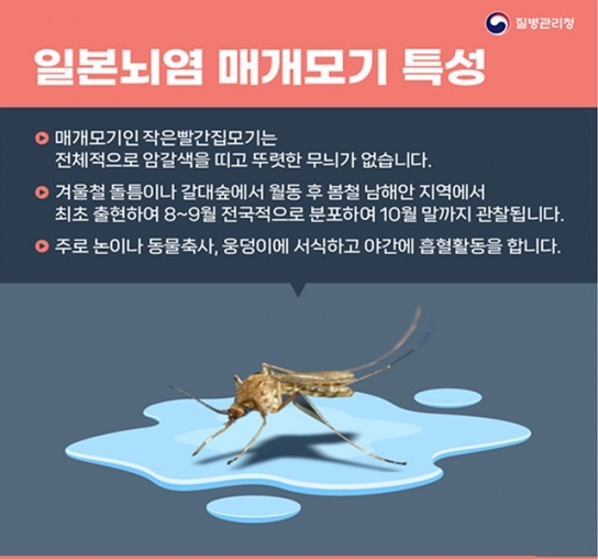 올해 첫 일본뇌염 환자 발생…60대 2명, 입원 치료 중
