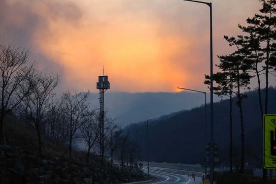 전국에서 전달되고 있는 산불 피해 복구 성금과 온정들