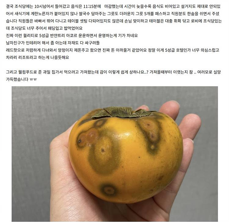 KakaoTalk_20250804_075112004_01.jpg