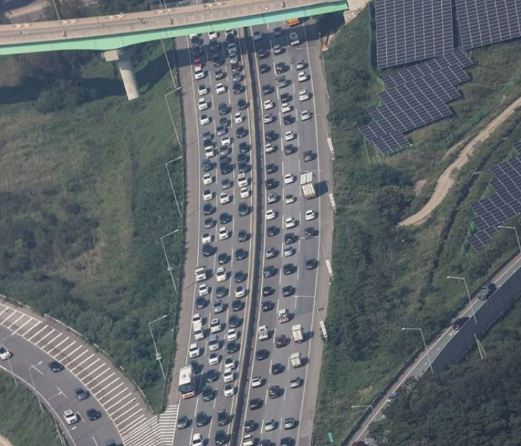 54443.jpg
