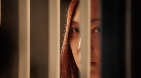 스릴러 퀸 염정아 '장화, 홍련' 이후 14년 만에 귀환