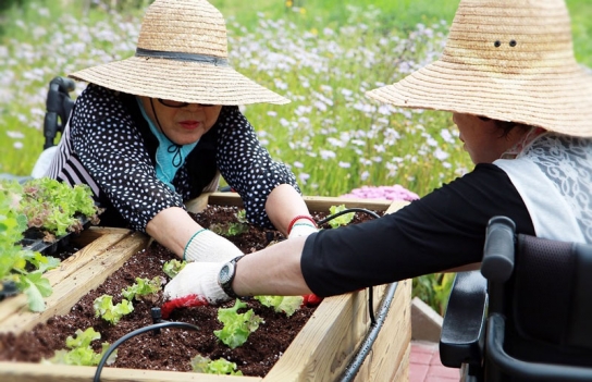 휠체어 탄 도시농부를 꿈꾸는 무장애 텃밭 개장