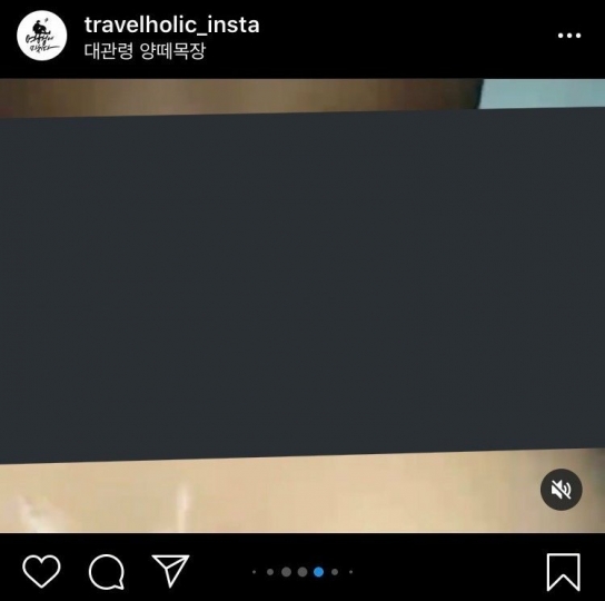 '여행에 미치다' 조준기, SNS에 불법영상 올렸다 삭제