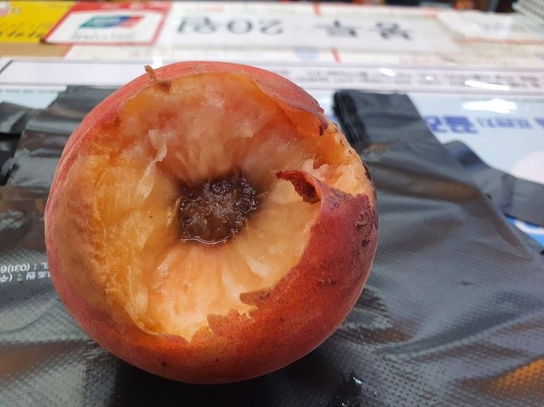 [편의점세상] 삼분의 일 잘려나간 복숭아
