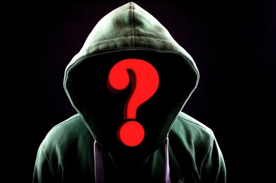 '무고피해' 우려에 디지털교도소 사이트 차단