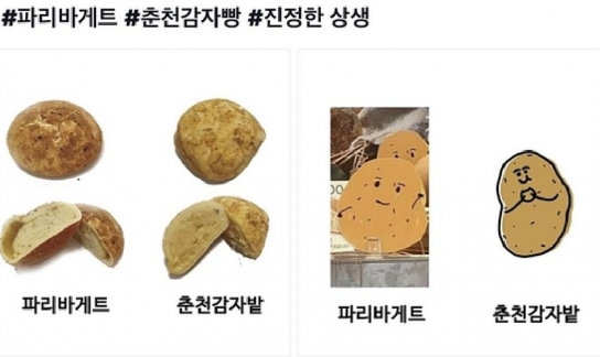 파리바게뜨 '카피 논란 감자빵' 판매 중단