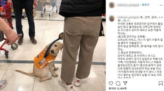 롯데마트 장애인 안내견 퍼피워커 논란 사과