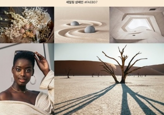 21년 컬러 트렌드 “희망과 기회에 대한 기대감 상징”