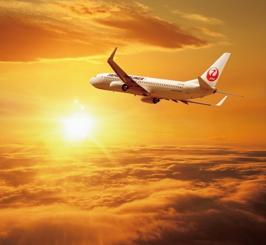 21년간 증가해온 항공사 여객규모 2020년엔 급감