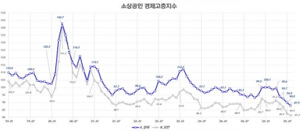 “쿠폰 지급 뒤 영세가맹점 매출 15%↑”… 신한카드, 민생회복 효과 분석