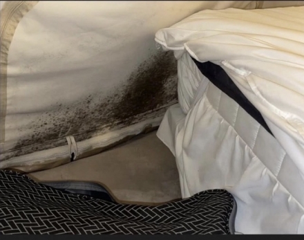 “이게 글램핑인가, 돈 내고 곰팡이 체험?”