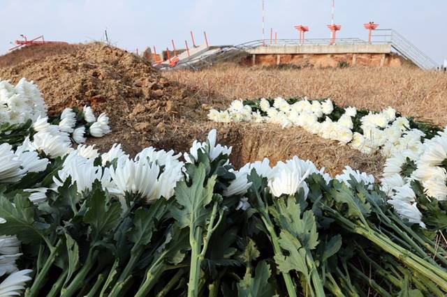 “무안공항 둔덕 없었으면 사망자 0명” 정부 비공개 시뮬레이션 확인