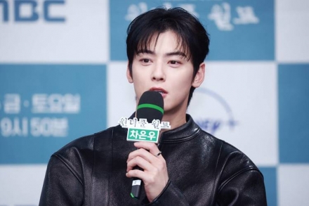 차은우 ‘200억 원대 세금 추징’… 세금 역산해보니 500억 원대 소득 추정