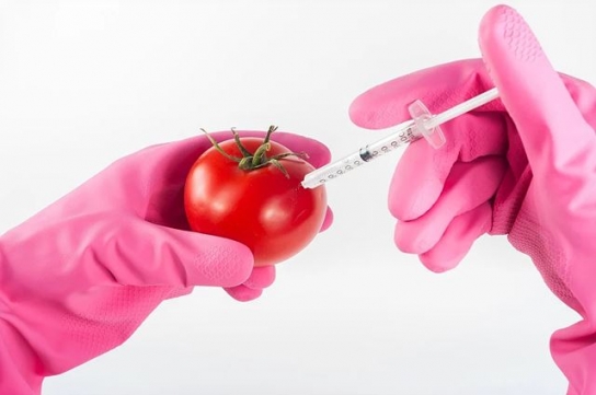 “산자부의 GMO 규제 완화 시도는 반생명적”