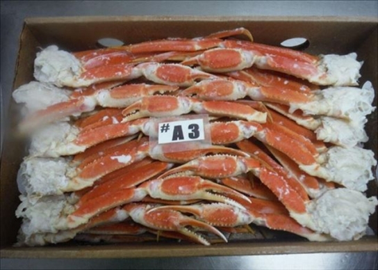 러시아산 냉동 대게 위생증명서 위조한 3명 검찰 송치