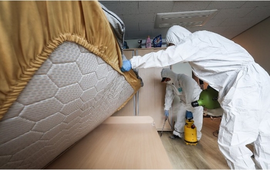 빈대 공포 확산...신고·목격담 늘고 퇴치제 수요 증가