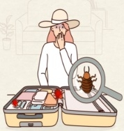 빈대 발생건수 12월 들어 소폭 상승해으나 점차 안정세
