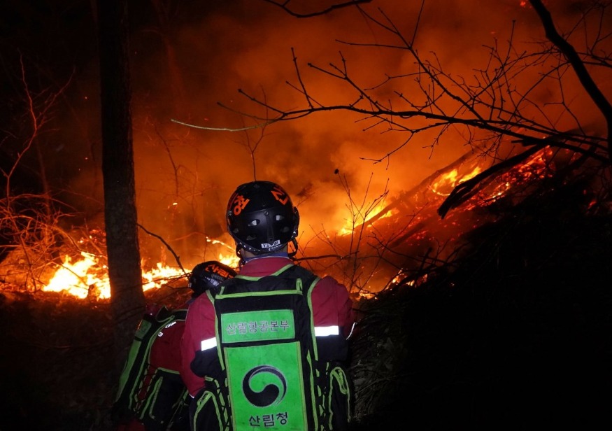 Screenshot 2022-03-13 at 12.16.17.jpg