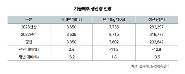 겨울배추 생산량 추이(통계청)640.jpg