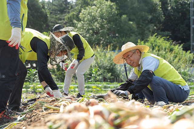 (보도자료)(20240616) 농협금융, 범농협 한마음 농촌일손 지원(사진2).jpg