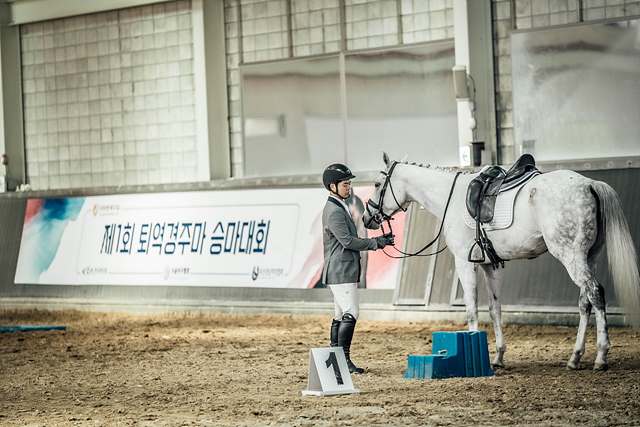 (단신1)(사진)지난 제1회 퇴역경주마 승마대회 현장_출처 호스픽쳐.jpg