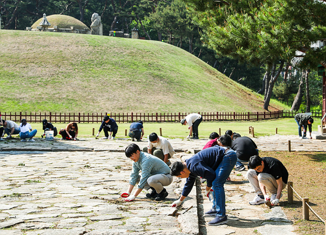 문화유적지 청정활동에는 한국 법인 대표와 임직원은 물론이고, 때론 미국 본사에서 경영진들이 직접 날아와 동참할 정도로 전사 차원에서 열의를 불태우고 있다. 2023년 5월 조혁진 라이엇 게임즈 한국 대표(사진 맨 가운데)를 비롯한 임직원들이 서울 강남구에 위치한 선정릉을 찾아 잡초를 뽑는 등 곳곳을 재정비하는 모습.jpg